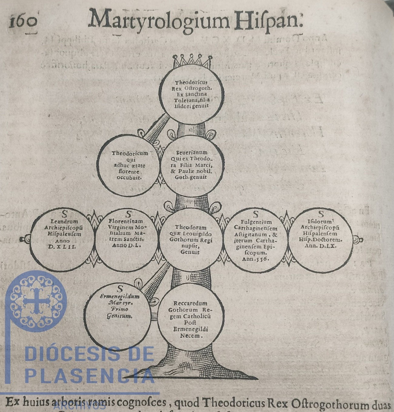Detalle del árbol genealógico de San Fulgencio y Santa Florentina, nietos del Rey Teodorico